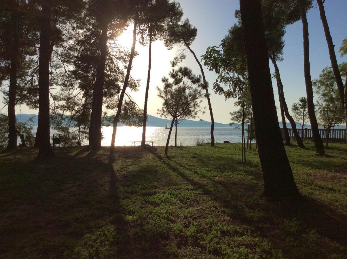 Ferienwohnung Zadar-City Zewnętrze zdjęcie